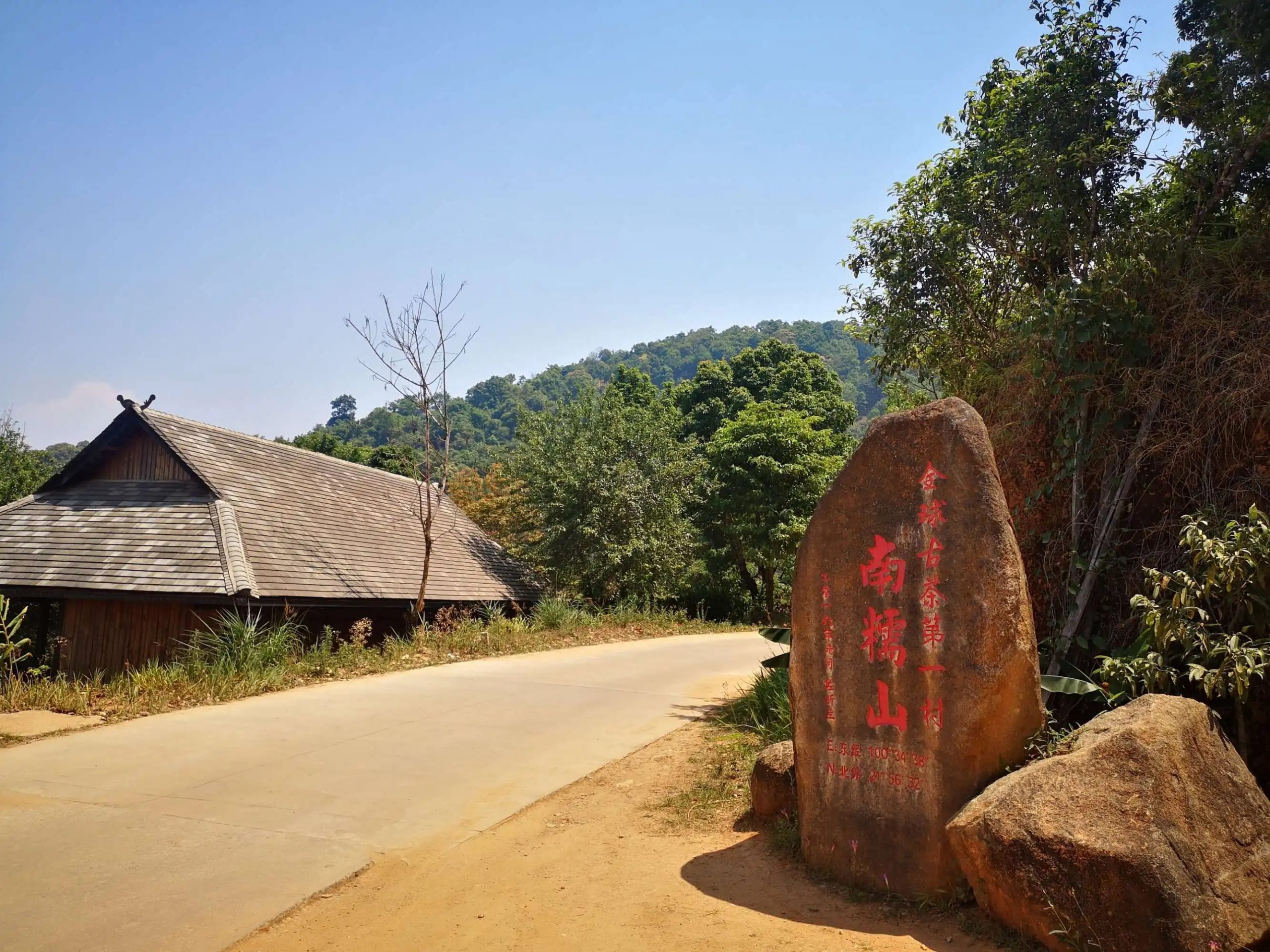 2023年南糯山古樹春茶品質(zhì)怎么樣？