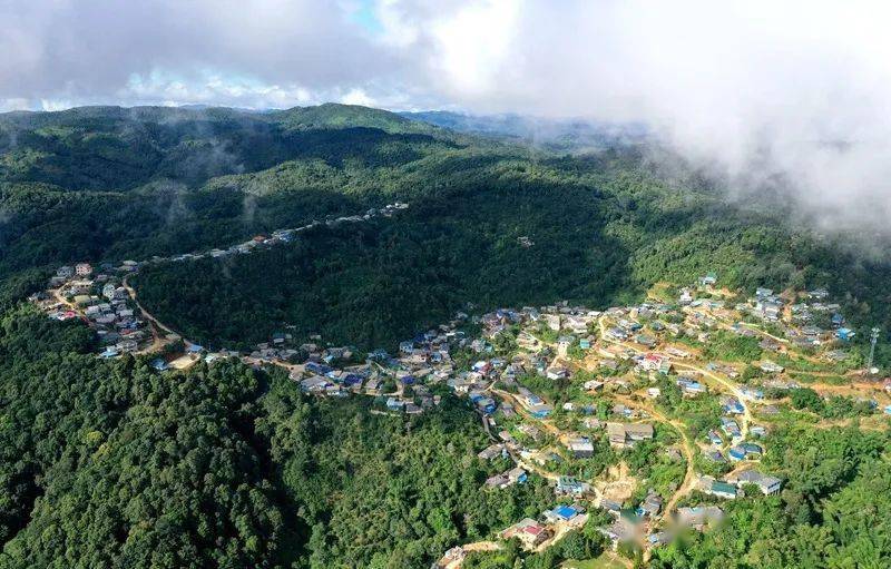 2023年帕沙古樹春茶口感怎么樣？