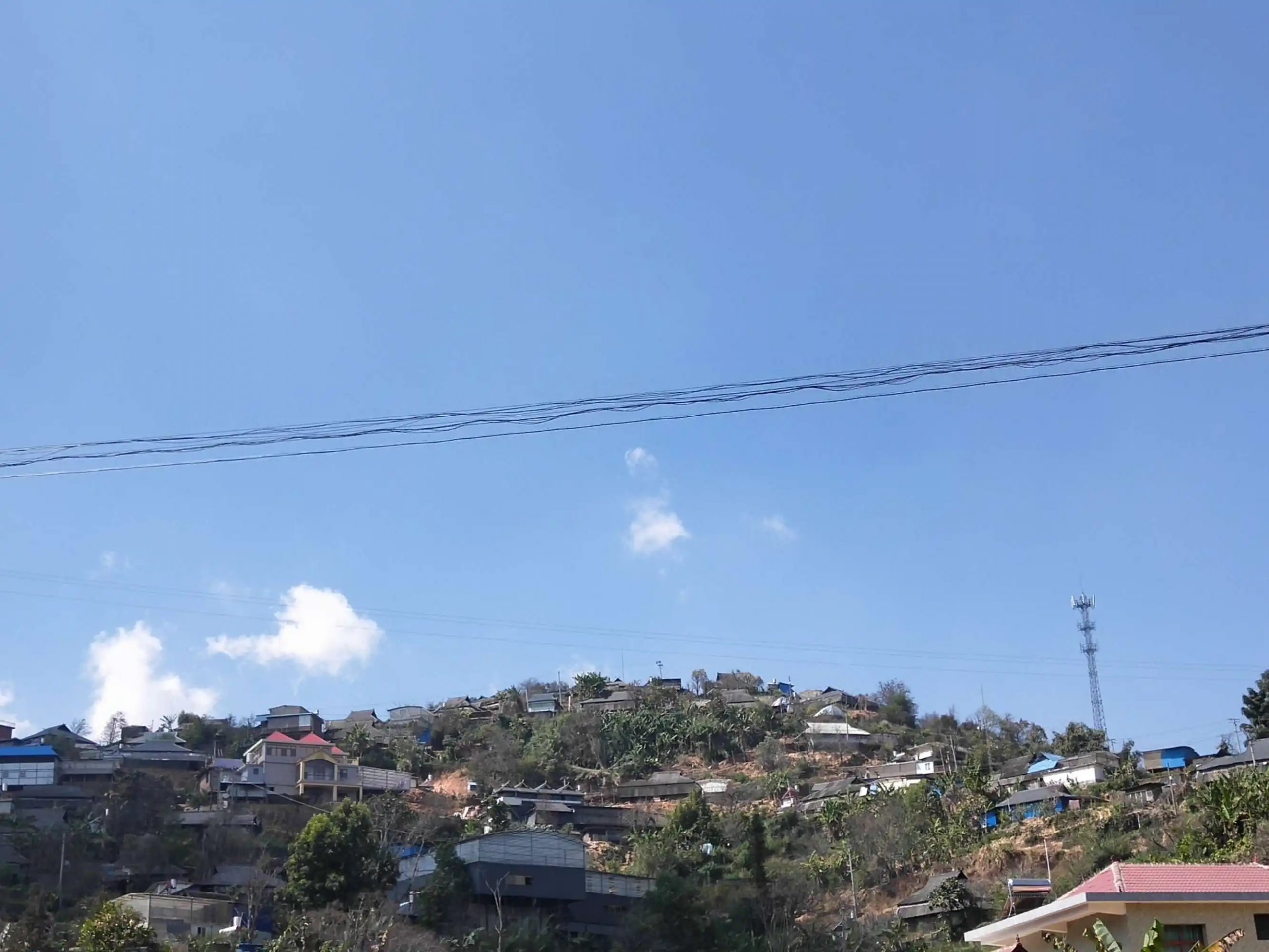 2023帕沙古樹春茶特點是什么？