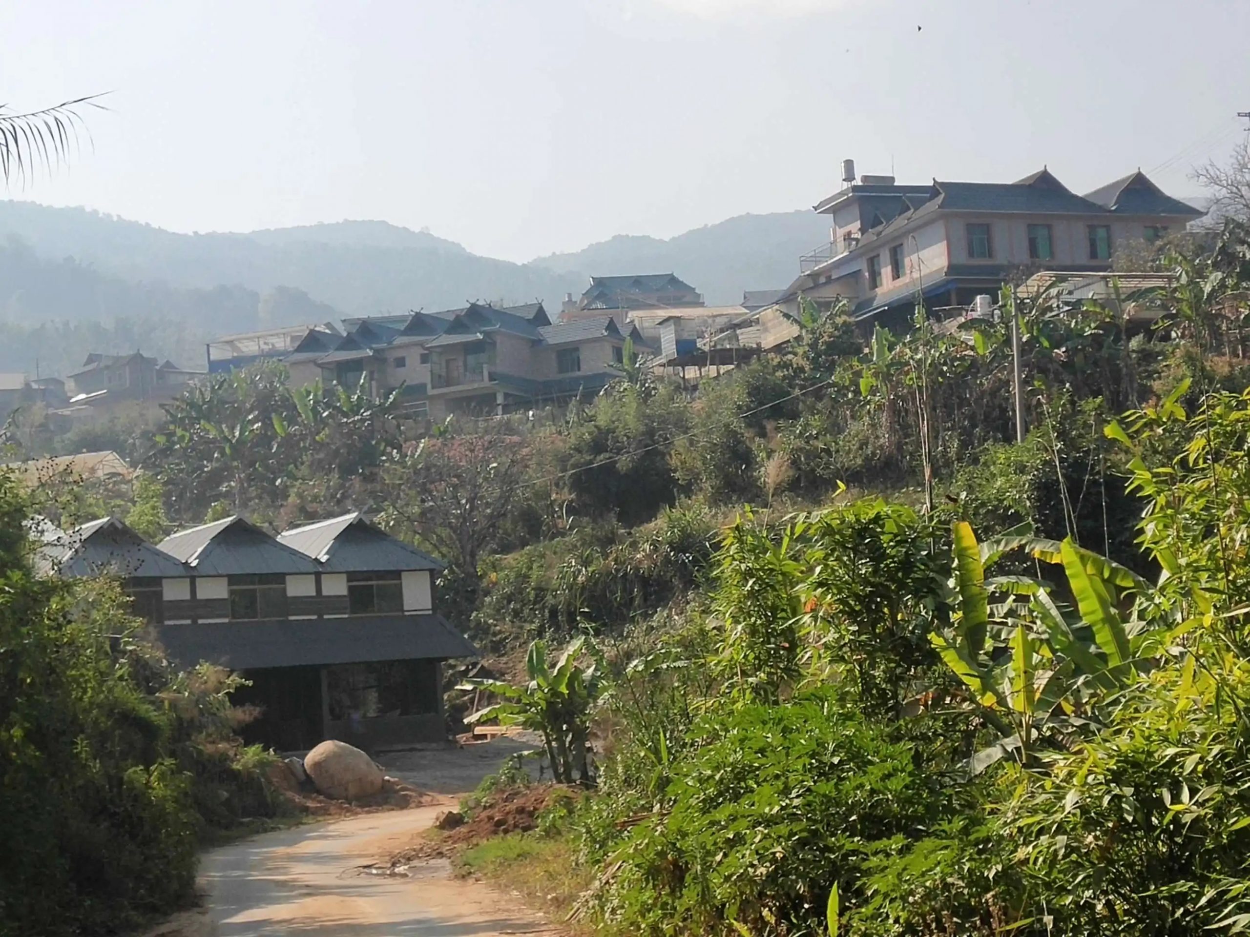 2023年帕沙古樹(shù)春茶價(jià)格多少錢？