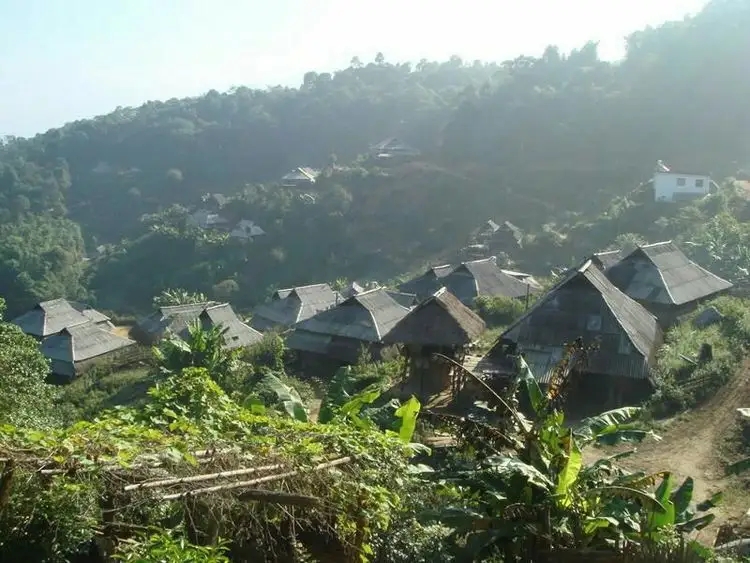 2023年帕沙古樹(shù)春茶多少一公斤？