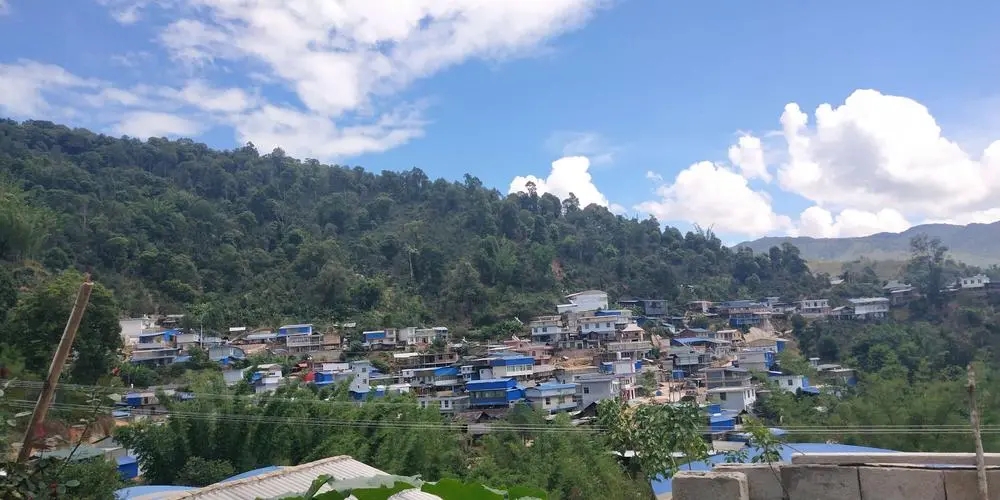 2023年那卡古樹春茶品質(zhì)如何？