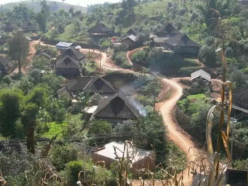 2023年保塘老寨古樹(shù)春茶品質(zhì)如何？