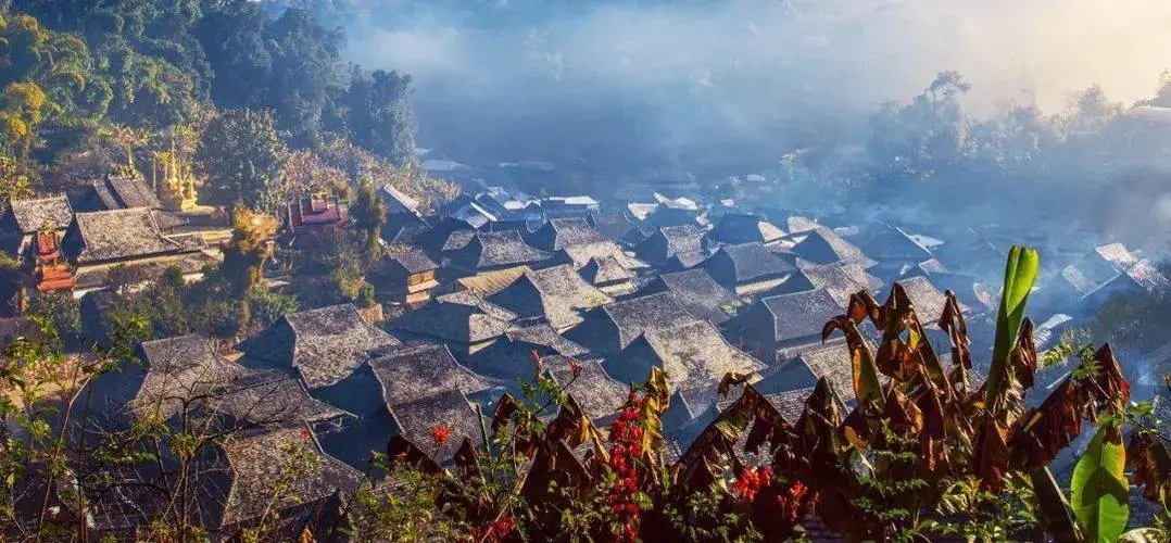 2023年景邁古樹春茶品質(zhì)如何？