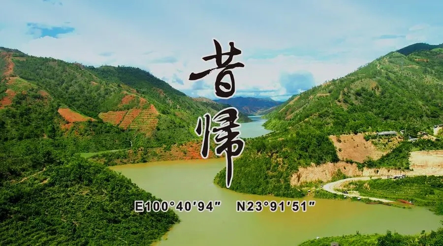 2023年昔歸古樹春茶品質(zhì)如何？