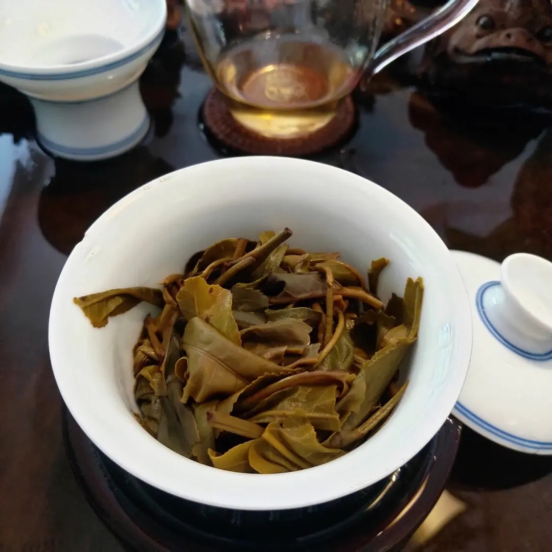 2023年昔歸古樹(shù)春茶口感如何？