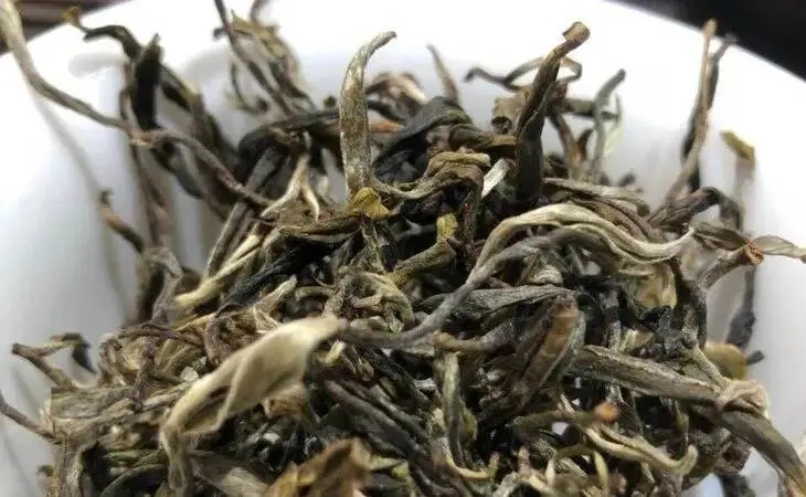 2023年鳳凰窩古樹春茶多少一公斤？