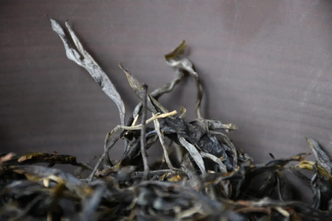 2023年正氣塘古樹春茶多少一公斤？