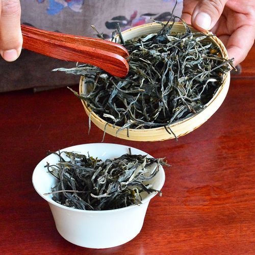 2023年地界古樹春茶口感是什么？