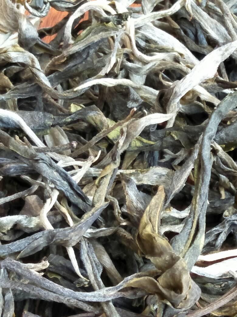 2023年壩歪古樹(shù)春茶價(jià)格是多少？