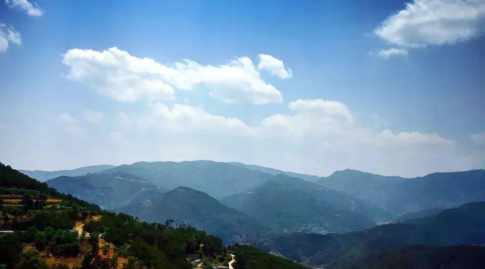 2023年勐庫(kù)大忠山古樹春茶價(jià)格是多少？