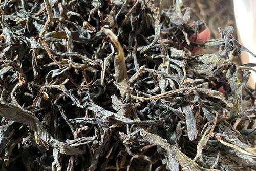 2023年鎮(zhèn)沅老烏山古樹春茶多少一公斤？