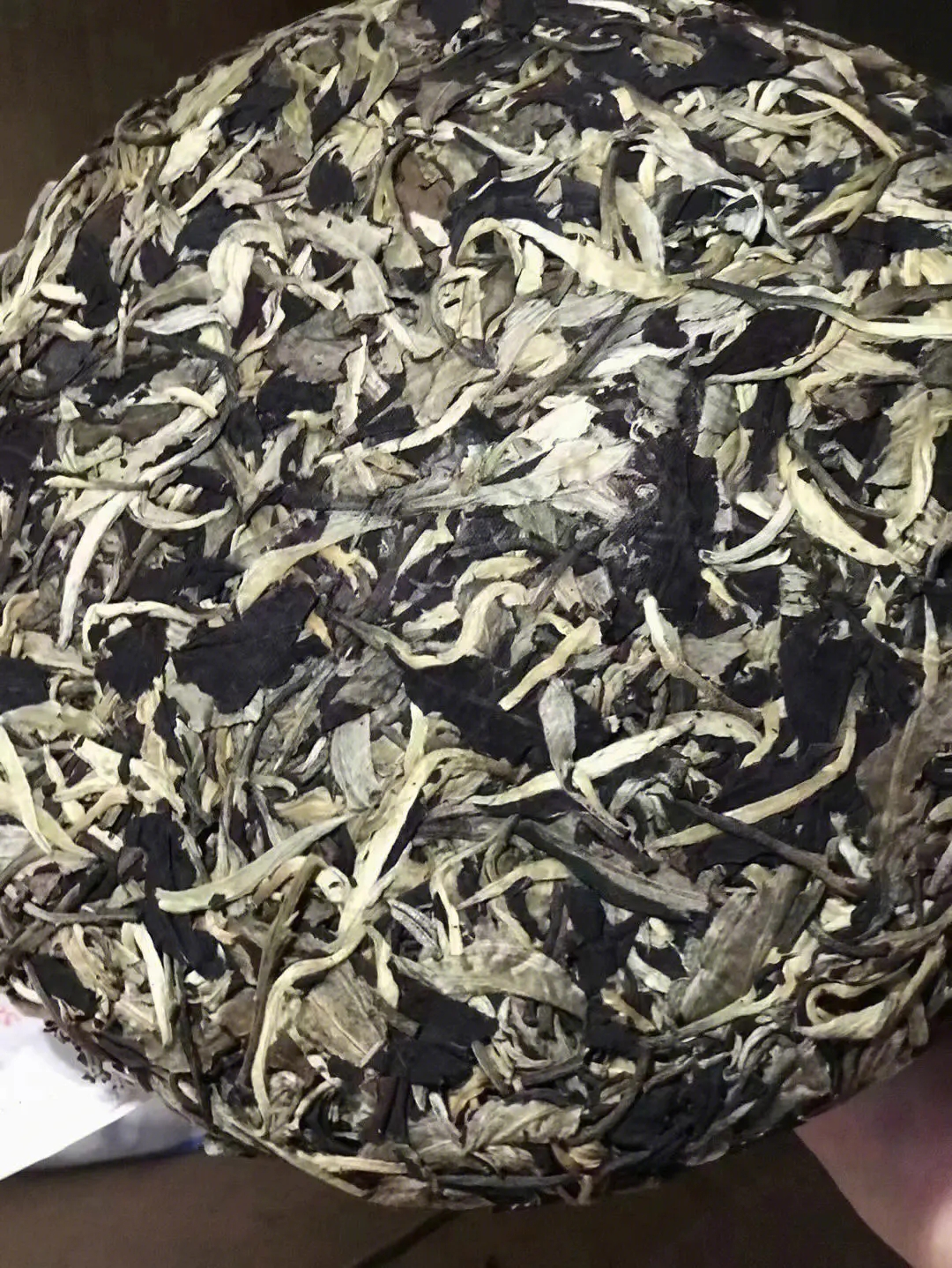 2023年月光白茶特點是什么？