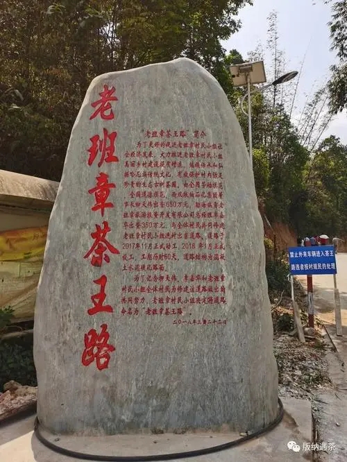 2024年老班章古樹春茶品質(zhì)如何？