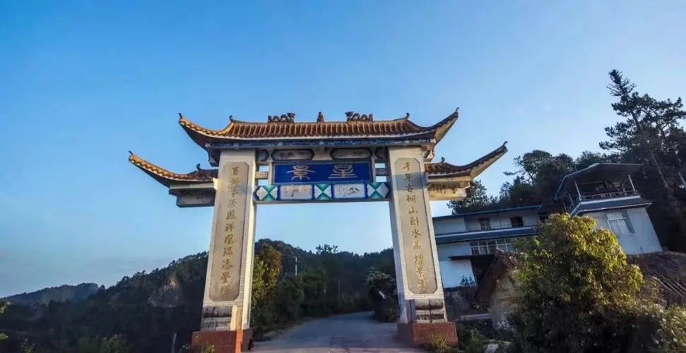 2024年墨江鳳凰窩古樹春茶特點是什么？