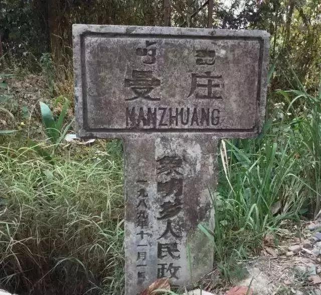 2025年蠻磚古樹春茶價(jià)格是多少？